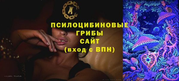 прущие крисы Белоозёрский